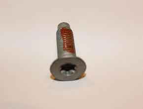  Torx Dog Point Screw with Patch 